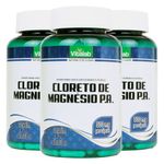 vitalab-kit-3x-cloreto-magnesio-pa-500mg-120-capsulas-loja-projeto-verao