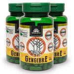 kampo-de-ervas-kit-3x-gengibre-organico-350mg-90-capsulas-vegetarianas-loja-projeto-verao