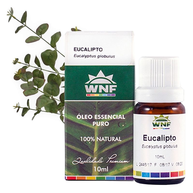 wnf-oleo-essencial-eucalipto-eucalyptus-globulus-10ml-loja-projeto-verao-planta