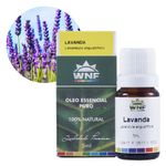 wnf-oleo-essencial-lavanda-5ml-loja-projeto-verao-planta