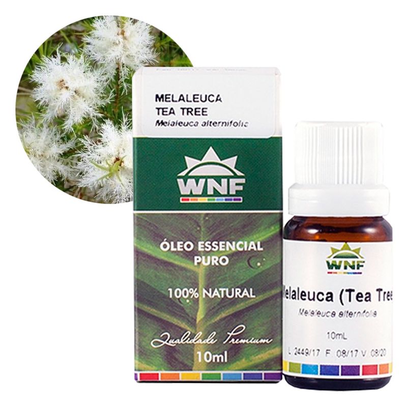 wnf-oleo-essencial-melaleuca-10ml-loja-projeto-verao-planta