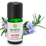 terra-flor-oleo-essencial-alecrim-cineol-10ml-loja-projeto-verao-planta