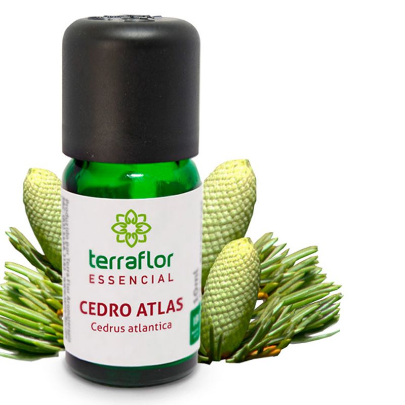 terra-flor-oleo-essencial-cedro-atlas-10ml-loja-projeto-verao-planta