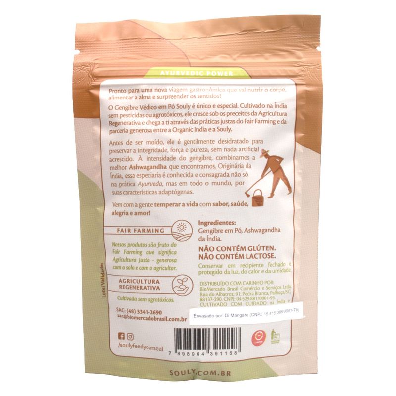 souly-gengibre-vedico-em-po-60g-loja-projeto-verao-02