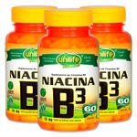 unilife-kit-3x-vitaminaB3-niacina-60-capsulas-vegetarianas-vegan-loja-projeto-verao-01