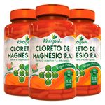 katigua-kit-3x-cloreto-de-magnesio-pa-500mg-120-capsulas-vegetarianas-loja-projeto-verao