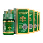 projeto_verao_6x_propolis_verde_60_capsulas_500mg_waxgreen