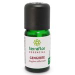 terra-flor-oleo-essencial-gengibre-zingiber-officinale-10ml-loja-projeto-verao