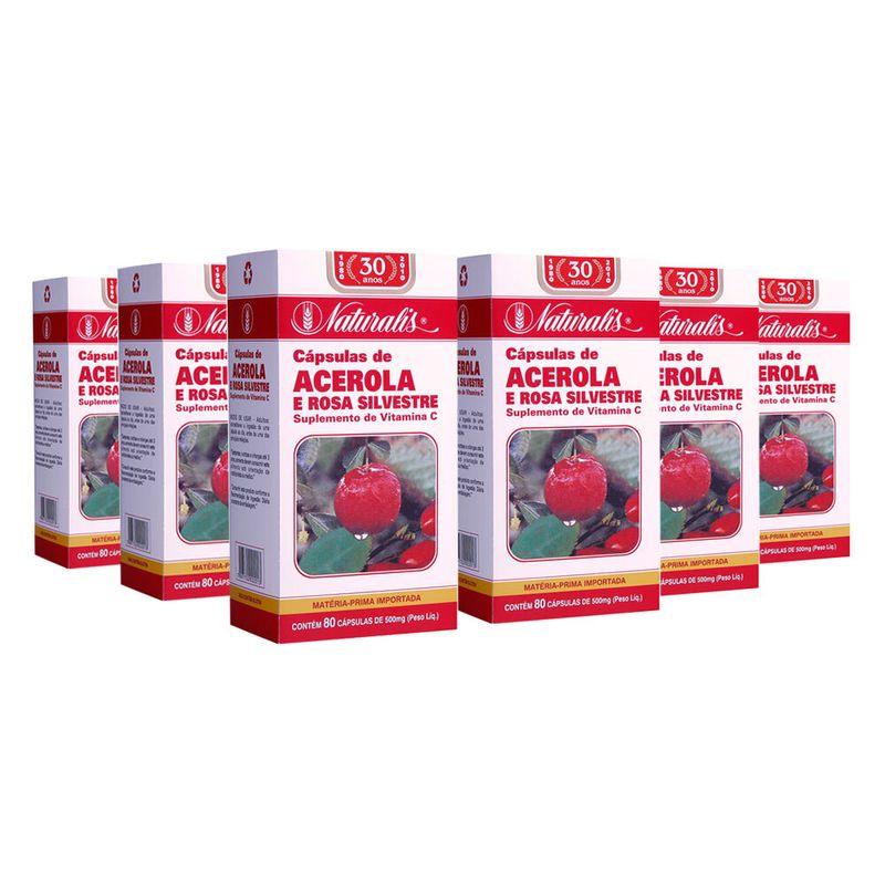 naturalis-kit-6x-acerola-e-rosa-silvestre-500mg-loja-projeto-verao