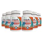 katigua-kit-6x-complexo-b-dose-maxima-500mg-30-capsulas-loja-projeto-verao