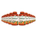 katigua-kit-12x-omega-3-1000mg-180-capsulas-loja-projeto-verao--1-