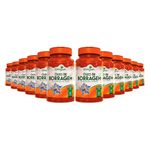 katigua-kit-12x-oleo-borragem-1000mg-60-capsulas-loja-projeto-verao--1-