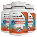 katigua-kit-3x-complexo-b-dose-maxima-500mg-30-capsulas-loja-projeto-verao--1-