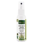 livealoe-spray-bucal-natural-aloe-lippia-hortela-grauda-mamao-oleos-essenciais-sem-alcool-sem-fluor-60-ml-loja-projeto-verao