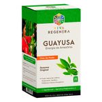 viva-regenera-guayusa-energia-da-amazonia-guayusa-original-25-saches-loja-projeto-verao