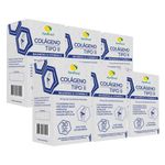 apis-brasil-kit-6x-colageno-tipo-ii-2-magnesio-vitamina-d-30-capsulas-loja-projeto-verao