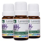 wnf-kit-3x-oleo-essencial-de-lavanda-10ml-loja-projeto-verao