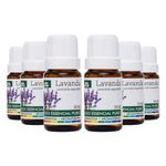 wnf-kit-6x-oleo-essencial-de-lavanda-10ml-loja-projeto-verao