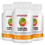 vitafor-kit-3x-curcuma-jiang-huang-500mg-loja-projeto-verao