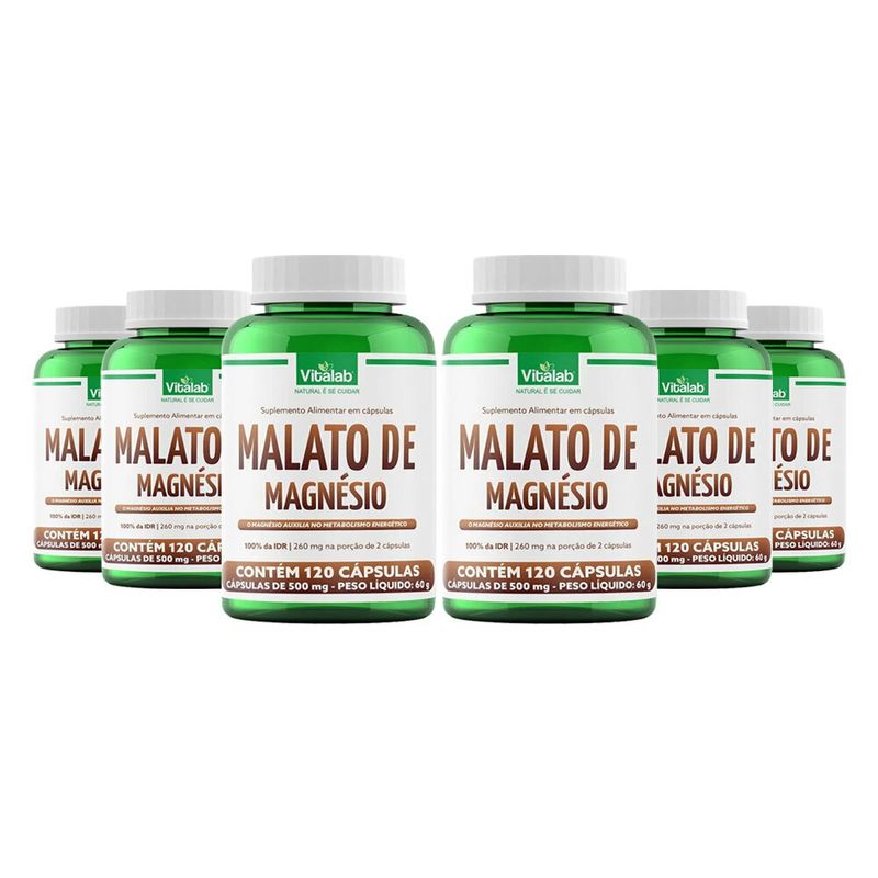 vitalabkit6xmalatodemagnesio500mg120capsulaslojaprojetoverao