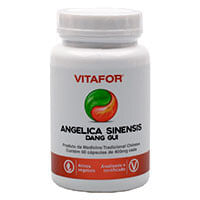 vitafor-mtc-angelica-sinensis-dang-gui-400mg-60-capsulas-loja-projeto-verao