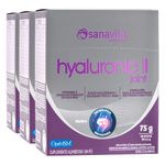 sanavita-kit-3x-hyaluronic-ii-joint-colageno-tipo-2-ii-vit-c-manganes-msm-acido-hialuronico-30-sticks-loja-projeto-verao