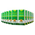 prodapys-kit-12x-extrato-de-propolis-verde-sem-alcool-45-capsulas-loja-projeto-verao