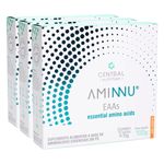 central-nutrition-kit-3x-aminnu-amino-acidos-sabor-tangerina-10-saches-de-10g-loja-projeto-verao