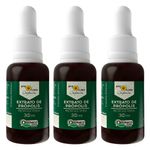 apis-flora-kit-3x-extrato-de-propolis-organico-16p-30ml-loja-projeto-verao