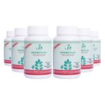 kit-6x-moringa-da-paz-moringa-organica-60-capsulas-veganas-30g-loja-projeto-verao