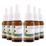 wnfkit6xoleodejojoba20ml