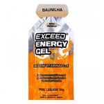 advanced-nutrition-exceed-energy-gel-baunilha-30g