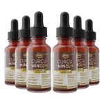 unilife-kit-6x-curcuminol-95-curcuminoides-curcumina-condroitina-colageno-tipo-ii-2-30ml
