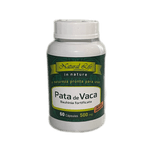 natural_life_pata_vaca_bauhinia_fortificata_60