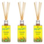 wnf-kit-3x-citrojelly-citronela-difusor-de-aromas-200ml