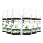 wnf-kit-6x-oleo-essencial-de-melaleuca-5ml