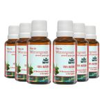 wnf-kit-6x-oleo-de-wintergreen-pronto-para-pele-2v5-oleo-essencial-em-oleo-vegetal-30ml