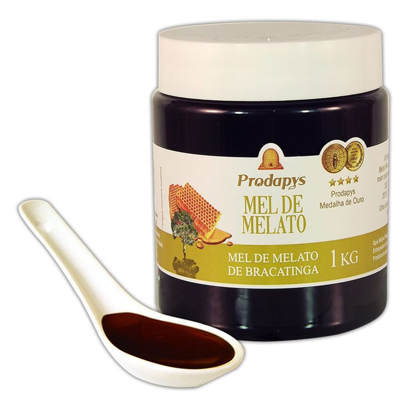 prodapys-mel-de-melato-de-bracatinga-1kg