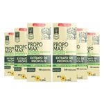 apis-flora-kit-6x-propomax-extrato-de-propolis-verde-30-capsulas