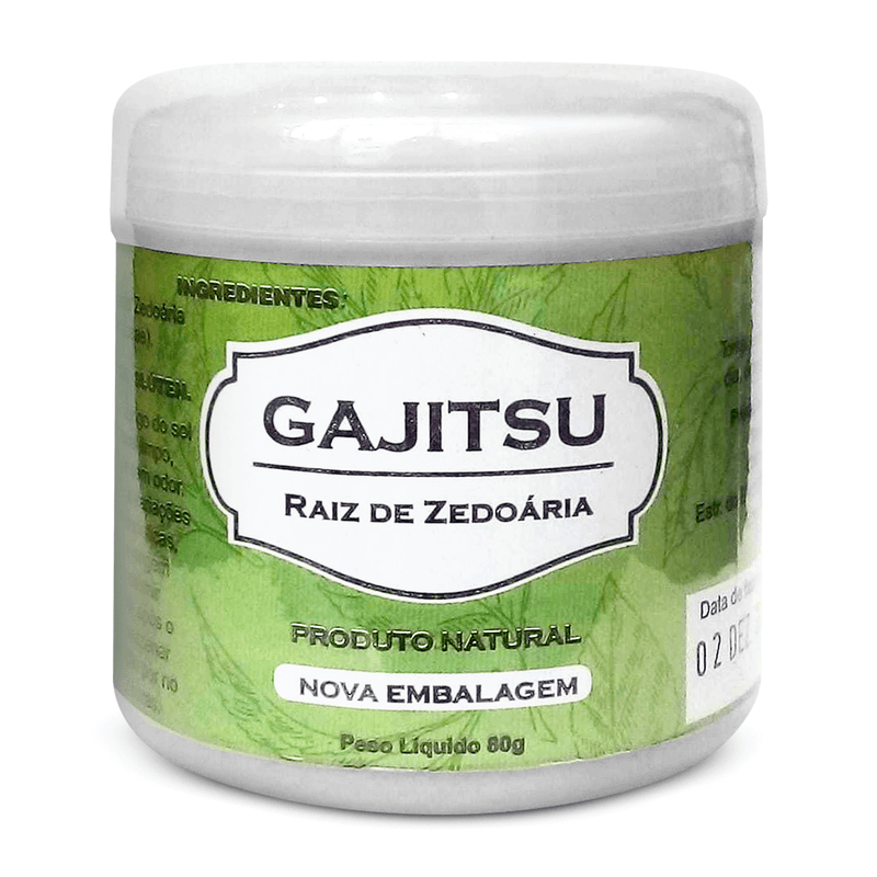 gajitsu-1 -1-.png