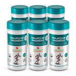 kit6-magnesio-malato-meissen-120-capsulas-projeto-verao-noa copiar.png