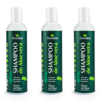 shampoo-de-aloe-vera_kit-3x-anticaspa-controle-de-oleosidade-melaleuca-copaiba-lipia-alba-erva-baleeira-vegan-300ml_livealoe