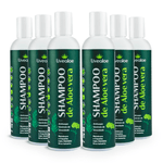 shampoo-de-aloe-vera_kit-6x-anticaspa-controle-de-oleosidade-melaleuca-copaiba-lipia-alba-erva-baleeira-vegan-300ml_livealoe