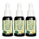 extrato-de-propolis-verde-n70_kit-3x-25-porcento-extrato-seco-30ml_apis-flora-01