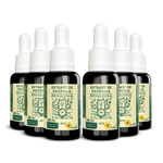 extrato-de-propolis-verde-n70_kit-6x-25-porcento-extrato-seco-30ml_apis-flora-01