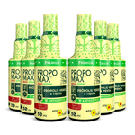 propomax--zero-spray_kit-6x-propolis-verde-e-menta-premium-sem-alcool-antisseptico-30ml_apis-flora