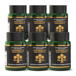 Kit6_suplemento-propolis-verde-extrato-wax-green-vitamina-c-e-60-capsulas-NOA-lojaprojetoverao-c-copiar-2