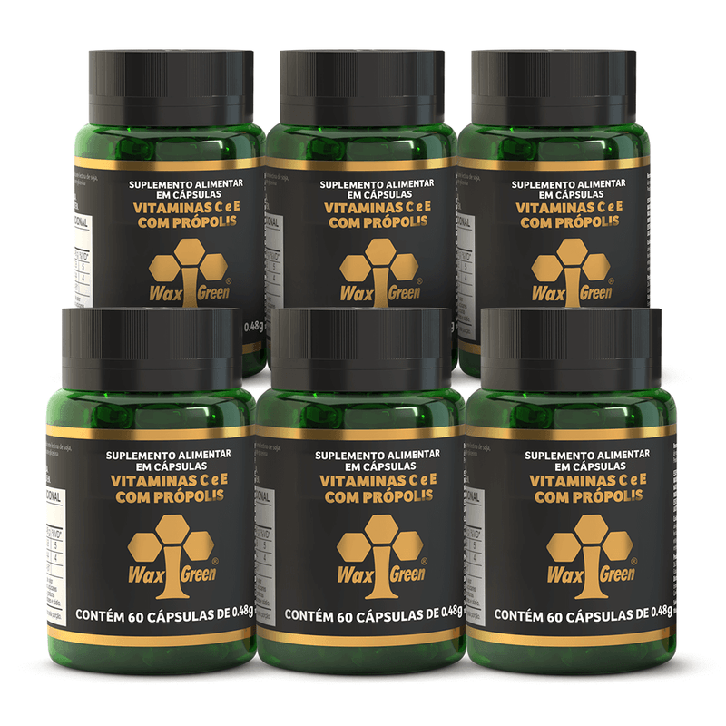Kit6_suplemento-propolis-verde-extrato-wax-green-vitamina-c-e-60-capsulas-NOA-lojaprojetoverao-c-copiar-2