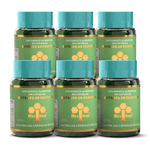 kit6-2_suplemento-propolis-verde-extrato-wax-green-100-capsulas-NOA-lojaprojetoverao-copiar