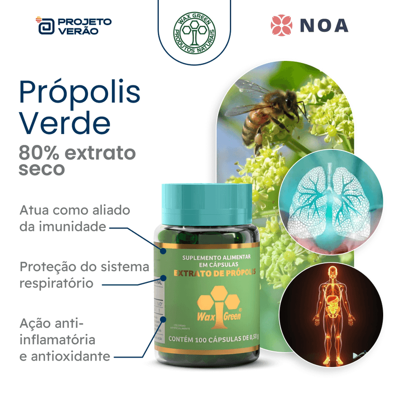 propolis_verde_wax-green_80_extrato_seco_100-capsulas_NOA_projeto_verao_Ambiente--2-